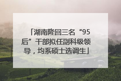 湖南隆回三名“95后”干部拟任副科级领导，均系硕士选调生